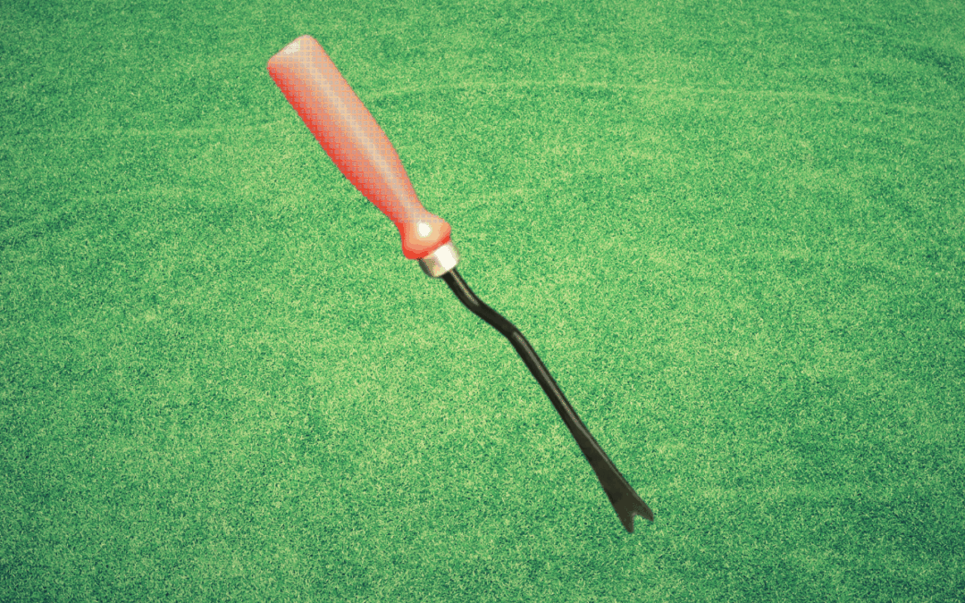 Give Your Plants the Best Care