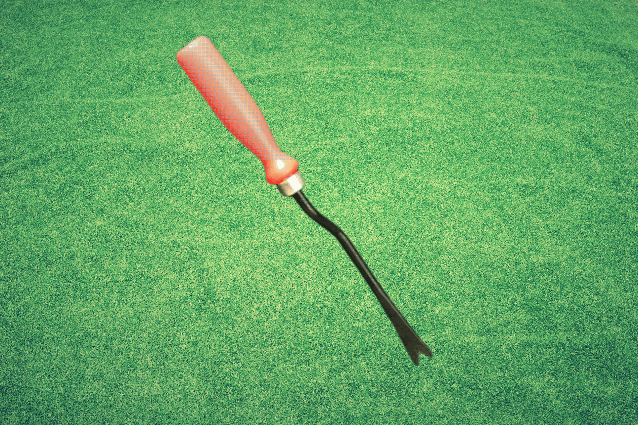 Give Your Plants the Best Care