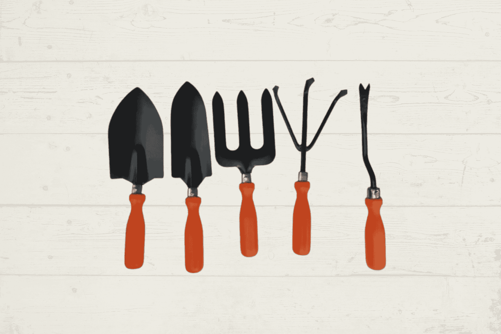 Upgrade Your Gardening Experience